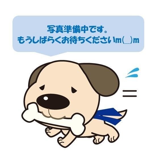 福井市古市３丁目の土地 内観