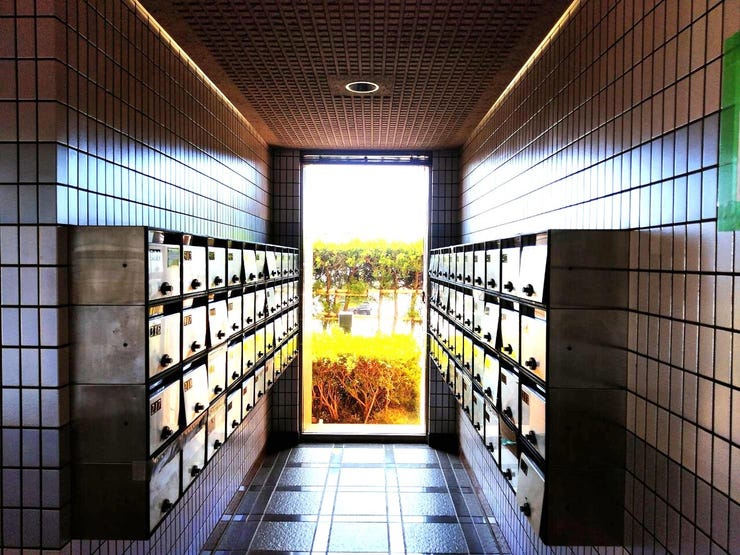 アペックス開発 福井市西開発１丁目の中古マンション 内観